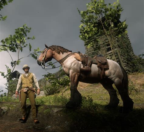 rdr2 horse race stranger|rdr2 bounty hunter random encounter.